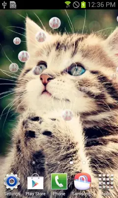 Cute Cat android App screenshot 2